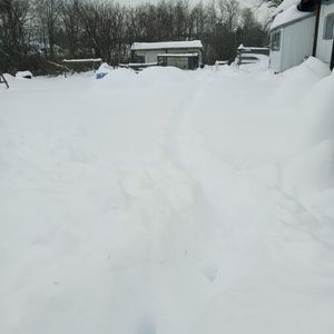 Meet your Posher, Sally